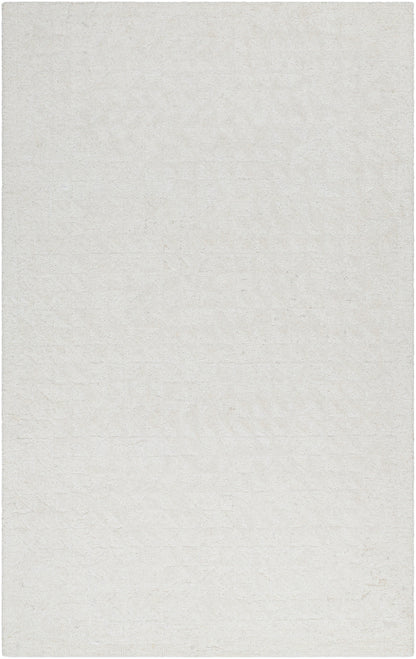 Surya Rize RZE-2310 Ivory Area Rug by LIVABLISS