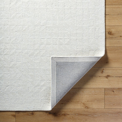Surya Rize RZE-2310 Ivory Area Rug by LIVABLISS