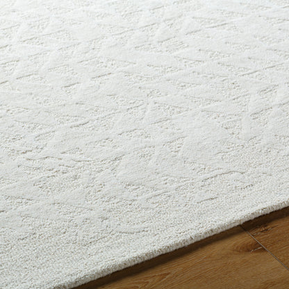 Surya Rize RZE-2310 Ivory Area Rug by LIVABLISS