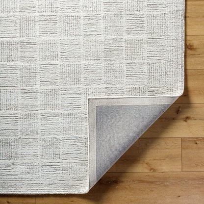 Surya Rize RZE-2311 Ivory Area Rug by LIVABLISS