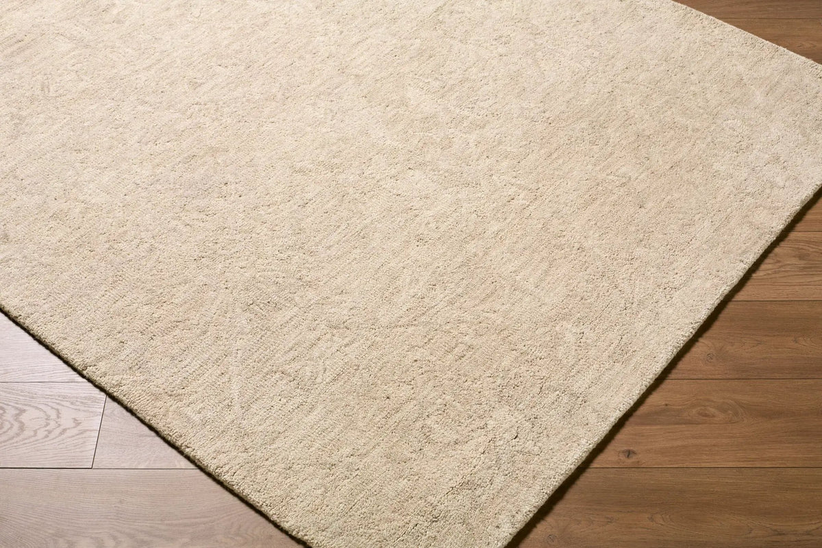 Livabliss x Rachel Zoe The Neutral Edit RZNE-2300 Sandstone Area Rug