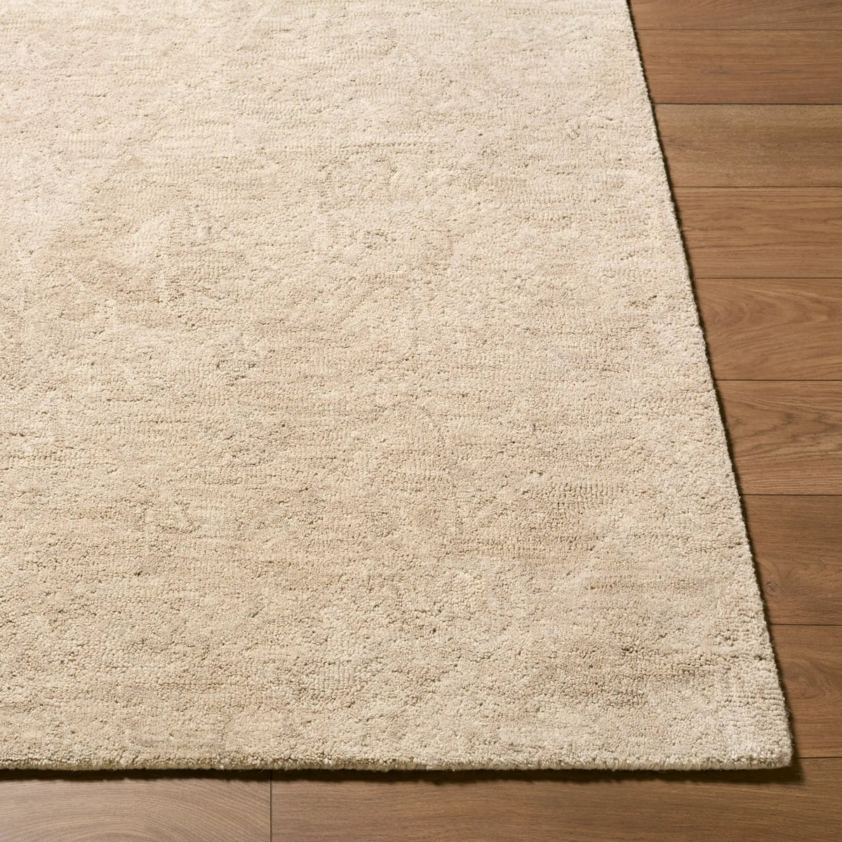 Livabliss x Rachel Zoe The Neutral Edit RZNE-2300 Sandstone Area Rug