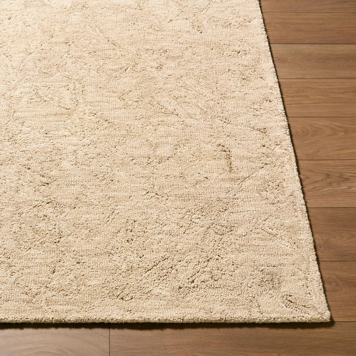Livabliss x Rachel Zoe The Neutral Edit RZNE-2301 Beige Area Rug