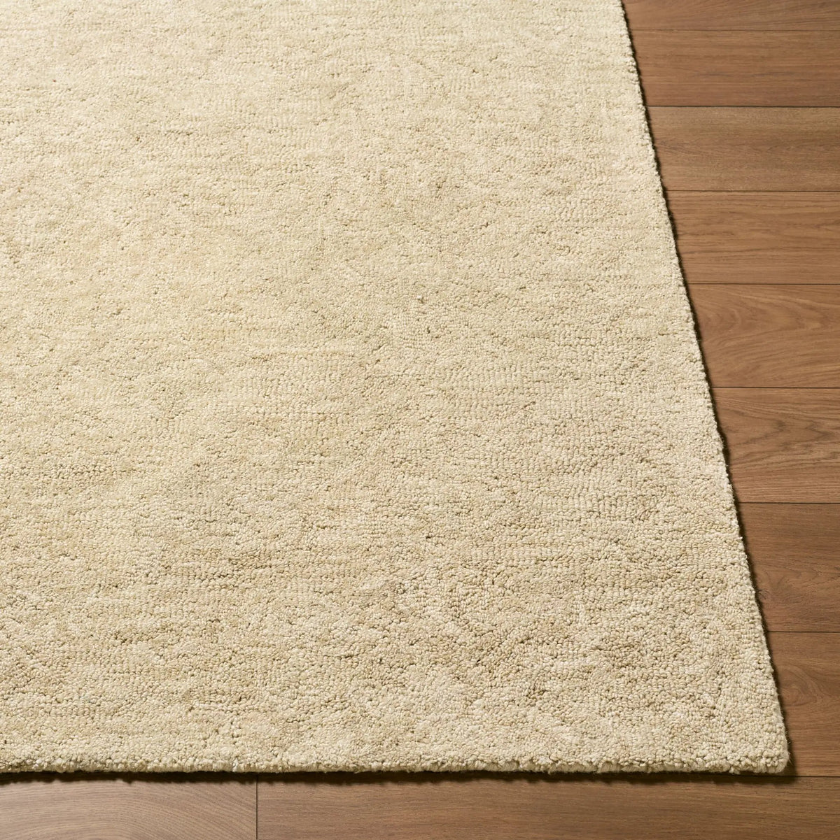 Livabliss x Rachel Zoe The Neutral Edit RZNE-2302 Beige Area Rug