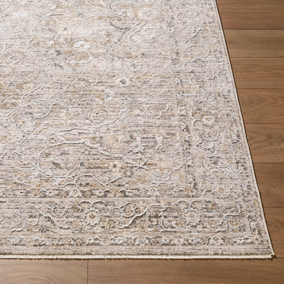 LIVABLISS Seclusion SCN-2305 Light-Gray Area Rug