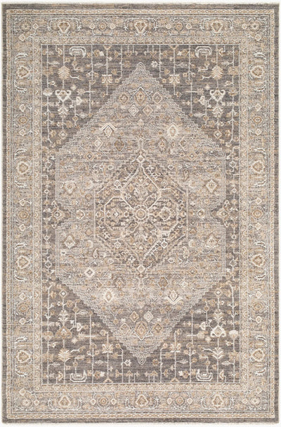 LIVABLISS Seclusion SCN-2309 Charcoal Area Rug