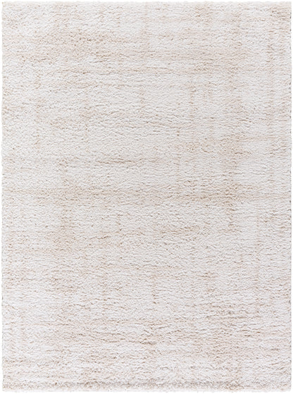 Surya Sacramento Shag SCS-2300 White Area Rug by LIVABLISS