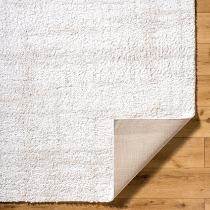 Surya Sacramento Shag SCS-2300 White Area Rug by LIVABLISS