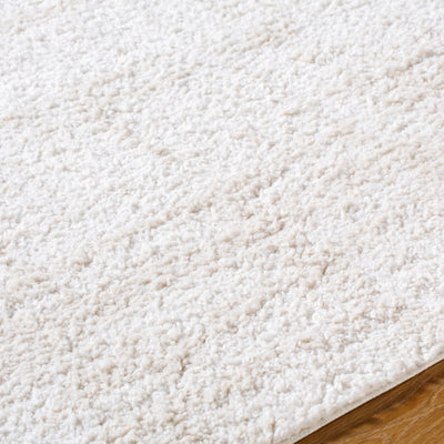 Surya Sacramento Shag SCS-2300 White Area Rug by LIVABLISS