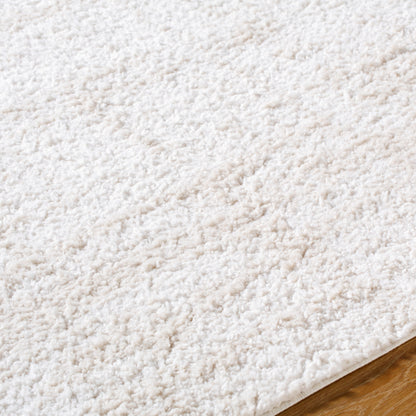 Surya Sacramento Shag SCS-2300 White Area Rug by LIVABLISS