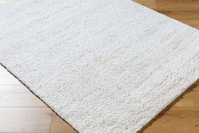 Surya Sacramento Shag SCS-2301 White Area Rug by LIVABLISS