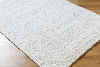 Surya Sacramento Shag SCS-2301 White Area Rug by LIVABLISS