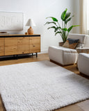 Surya Sacramento Shag SCS-2302 White Area Rug by LIVABLISS