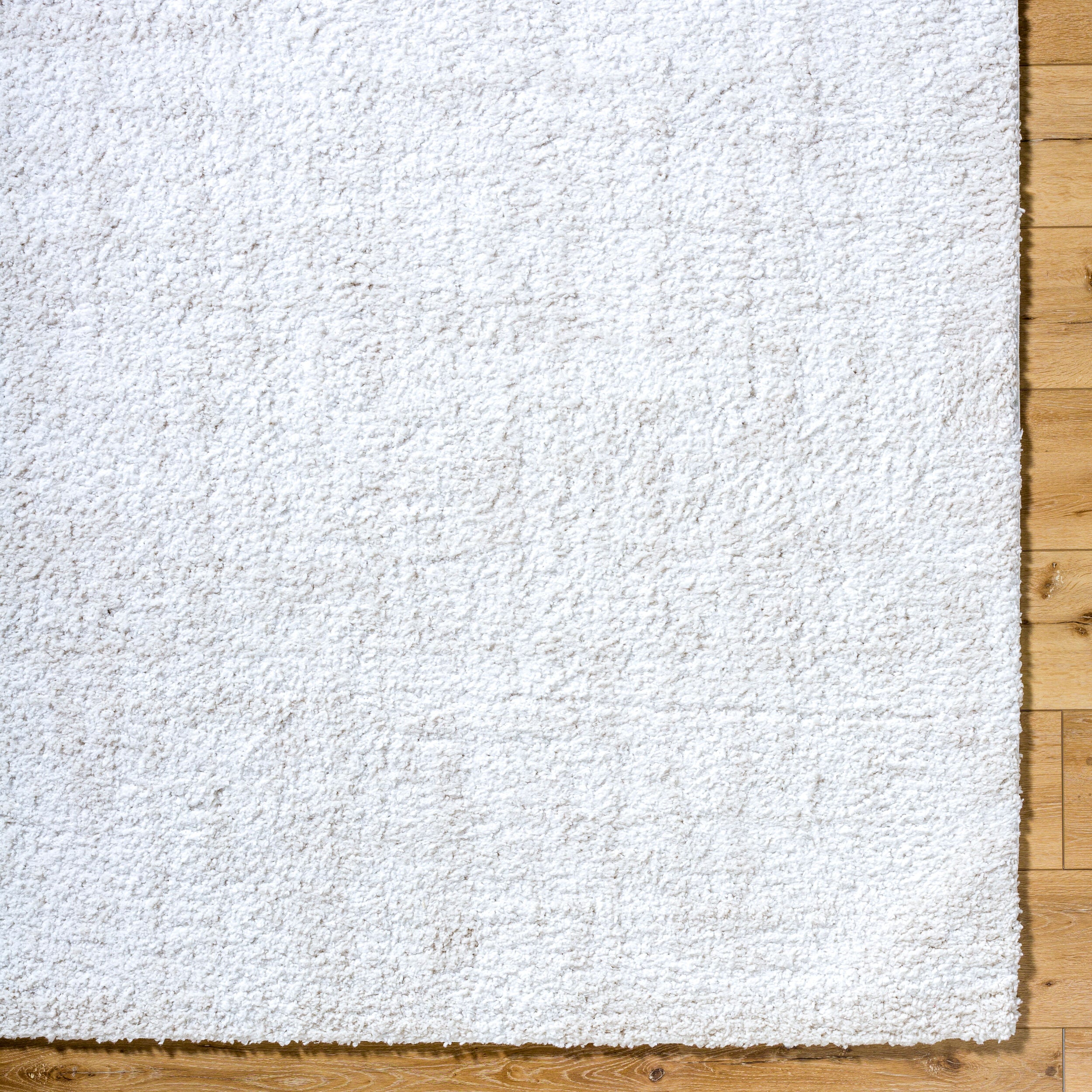 Surya Sacramento Shag SCS-2302 White Area Rug by LIVABLISS