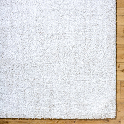 Surya Sacramento Shag SCS-2302 White Area Rug by LIVABLISS