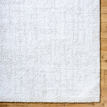 Surya Sacramento Shag SCS-2302 White Area Rug by LIVABLISS
