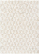 Surya Sacramento Shag SCS-2303 White Area Rug by LIVABLISS