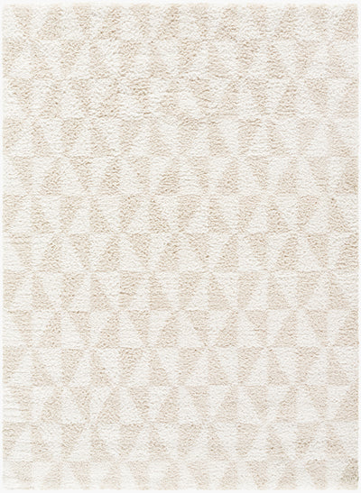 Surya Sacramento Shag SCS-2303 White Area Rug by LIVABLISS