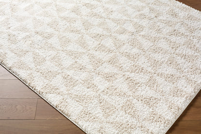 Surya Sacramento Shag SCS-2303 White Area Rug by LIVABLISS