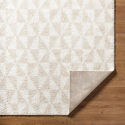 Surya Sacramento Shag SCS-2303 White Area Rug by LIVABLISS