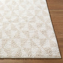 Surya Sacramento Shag SCS-2303 White Area Rug by LIVABLISS