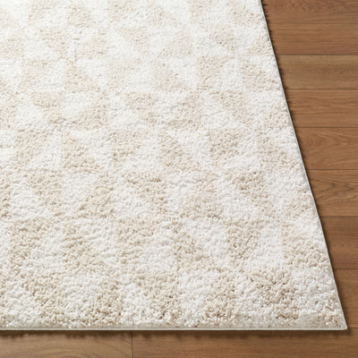 Surya Sacramento Shag SCS-2303 White Area Rug by LIVABLISS