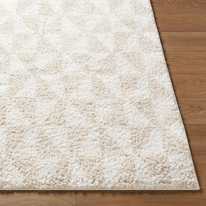 Surya Sacramento Shag SCS-2303 White Area Rug by LIVABLISS