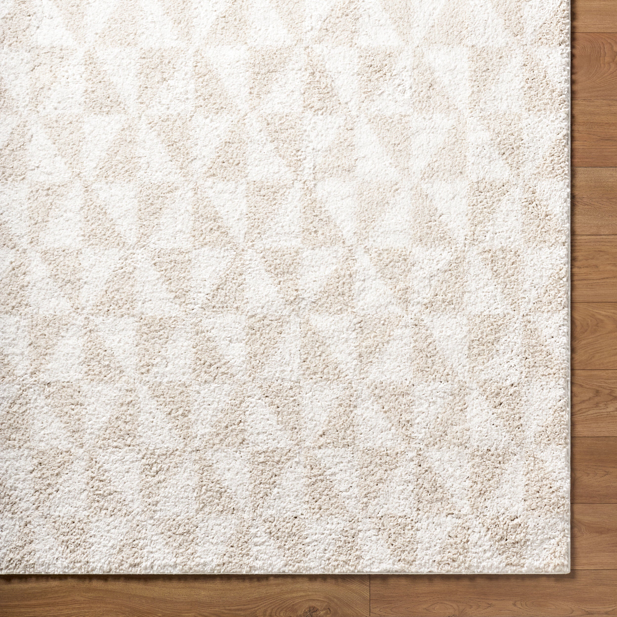 Surya Sacramento Shag SCS-2303 White Area Rug by LIVABLISS