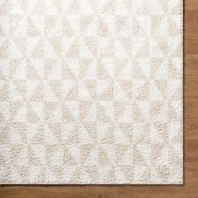 Surya Sacramento Shag SCS-2303 White Area Rug by LIVABLISS