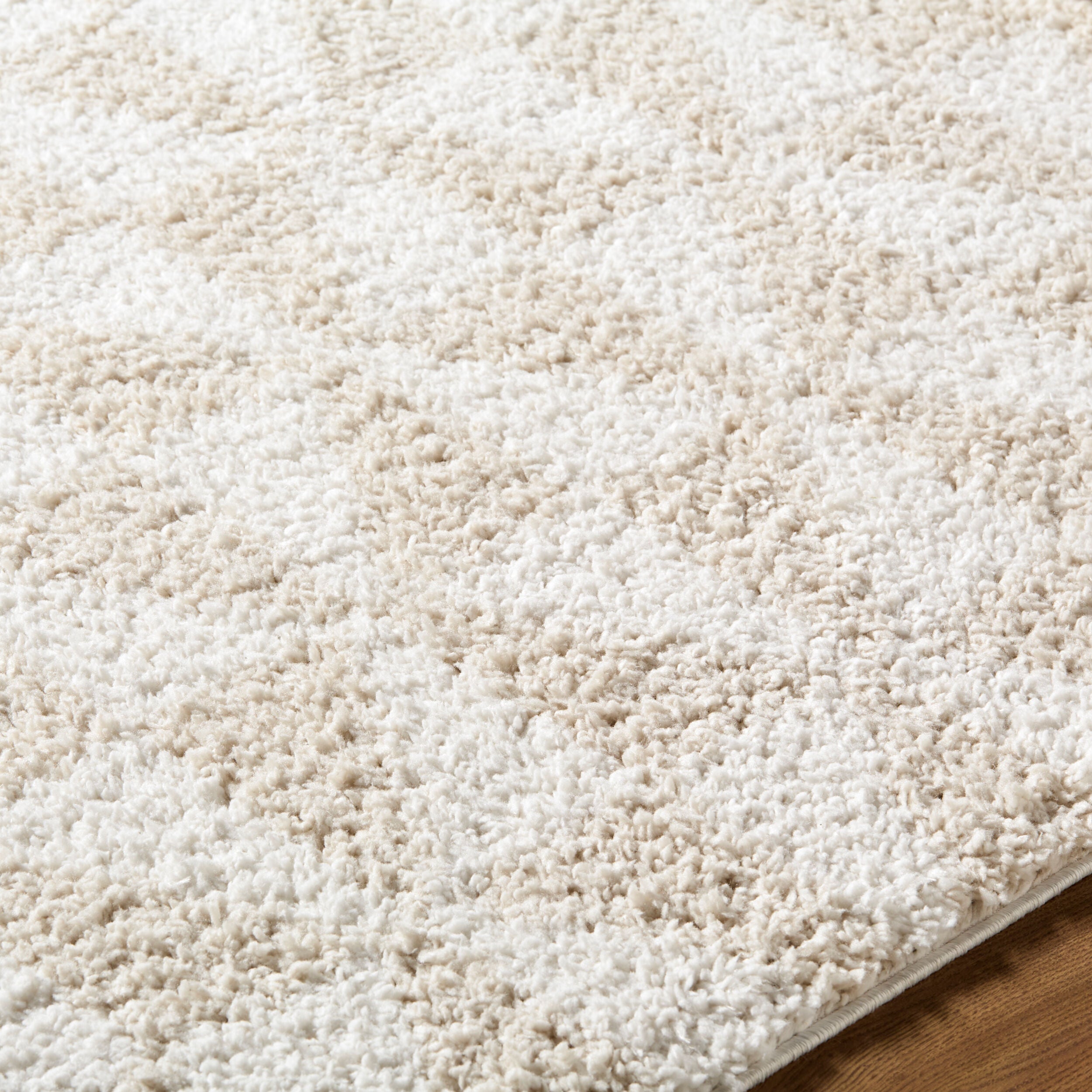 Surya Sacramento Shag SCS-2303 White Area Rug by LIVABLISS