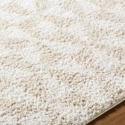 Surya Sacramento Shag SCS-2303 White Area Rug by LIVABLISS