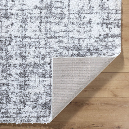 Surya Sacramento Shag SCS-2306 White Area Rug by LIVABLISS
