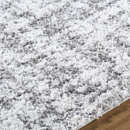 Surya Sacramento Shag SCS-2306 White Area Rug by LIVABLISS
