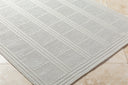 Surya Sandra SDR-2301 Beige Area Rug by LIVABLISS