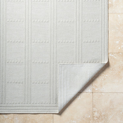 Surya Sandra SDR-2301 Beige Area Rug by LIVABLISS
