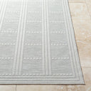 Surya Sandra SDR-2301 Beige Area Rug by LIVABLISS