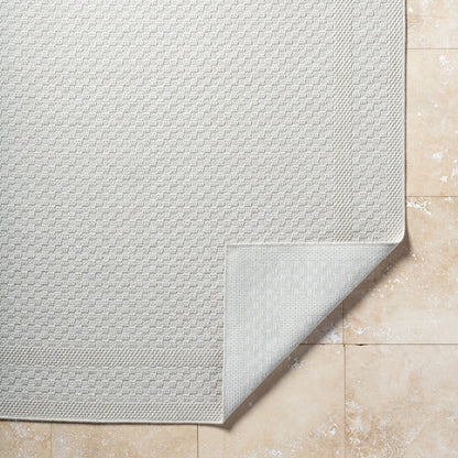Surya Sandra SDR-2302 Beige Area Rug by LIVABLISS