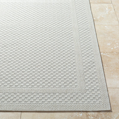 Surya Sandra SDR-2302 Beige Area Rug by LIVABLISS