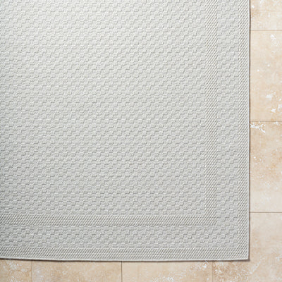 Surya Sandra SDR-2302 Beige Area Rug by LIVABLISS