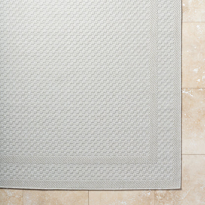Surya Sandra SDR-2302 Beige Area Rug by LIVABLISS