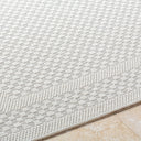 Surya Sandra SDR-2302 Beige Area Rug by LIVABLISS
