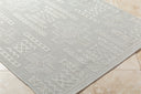 Surya Sandra SDR-2303 Beige Area Rug by LIVABLISS