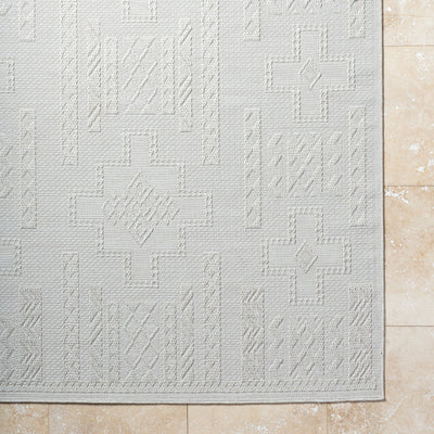 Surya Sandra SDR-2303 Beige Area Rug by LIVABLISS