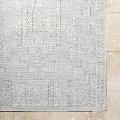 Surya Sandra SDR-2303 Beige Area Rug by LIVABLISS