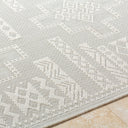Surya Sandra SDR-2303 Beige Area Rug by LIVABLISS