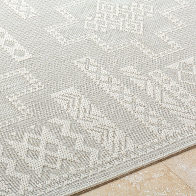Surya Sandra SDR-2303 Beige Area Rug by LIVABLISS