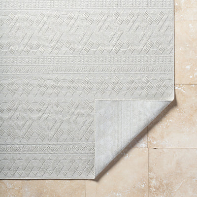 Surya Sandra SDR-2310 Beige Area Rug by LIVABLISS