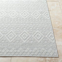 Surya Sandra SDR-2310 Beige Area Rug by LIVABLISS