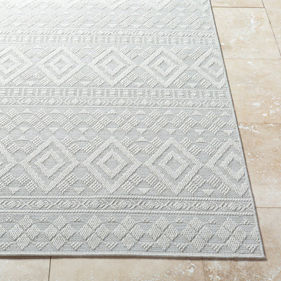 Surya Sandra SDR-2310 Beige Area Rug by LIVABLISS