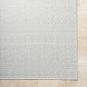 Surya Sandra SDR-2310 Beige Area Rug by LIVABLISS